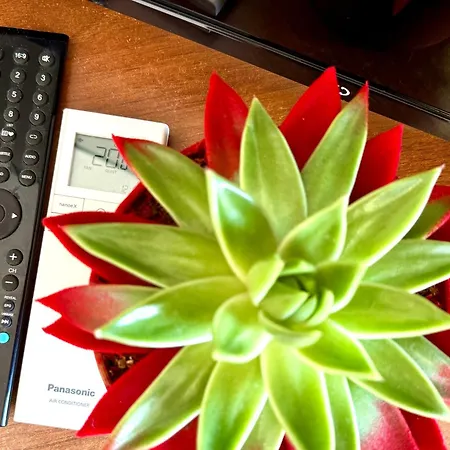 Carioca شقة فندقية