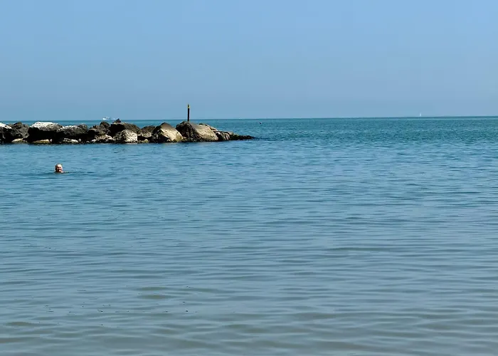 Carioca ريميني