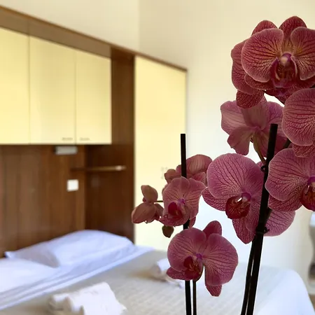 Carioca Aparthotel