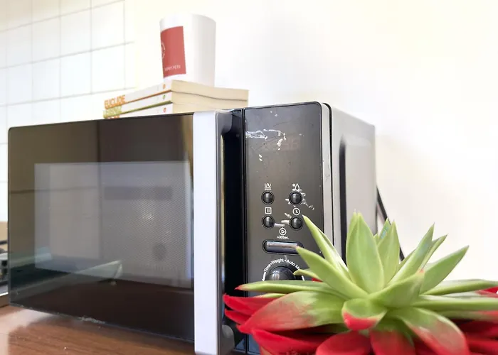 Carioca 2* 리미니